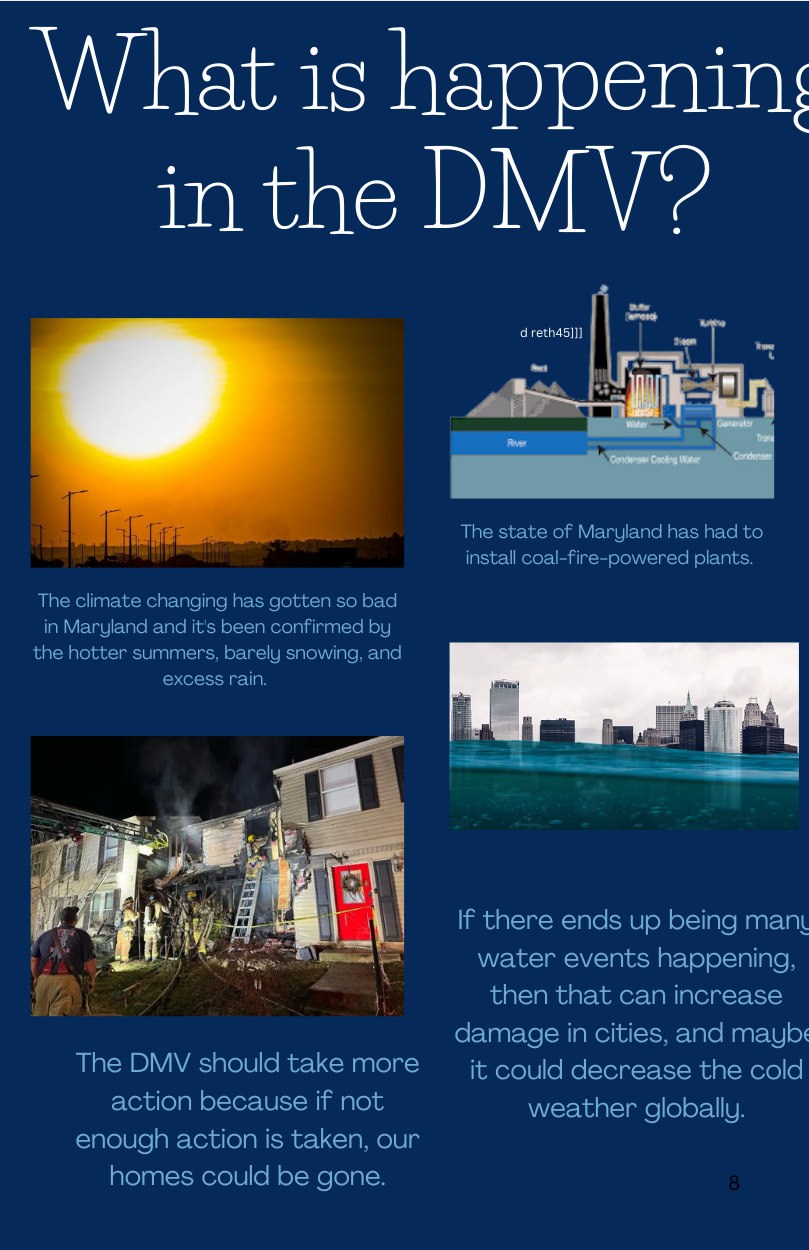 Nzingha Infographic Two