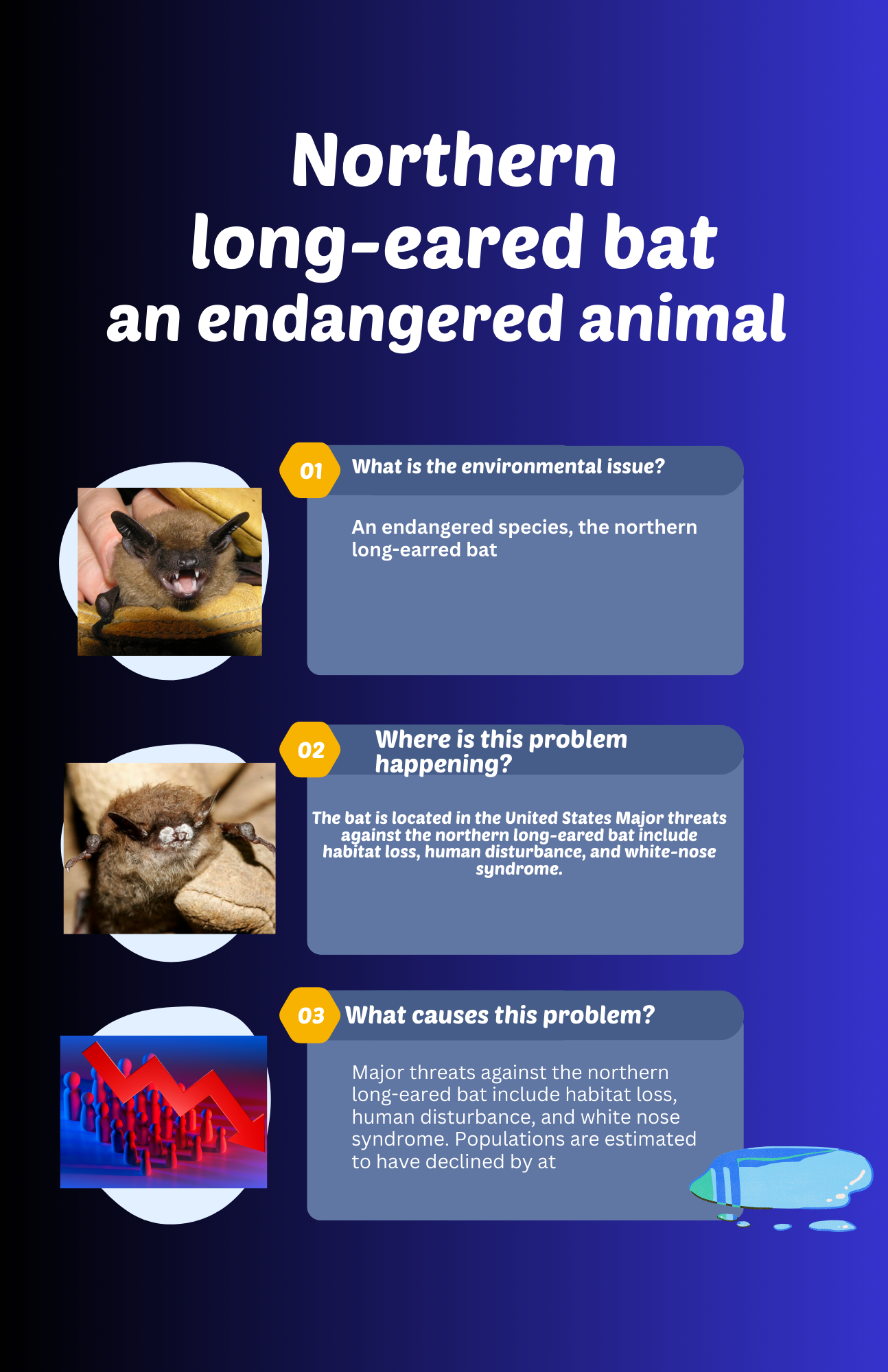 Efuntomi Infographic One