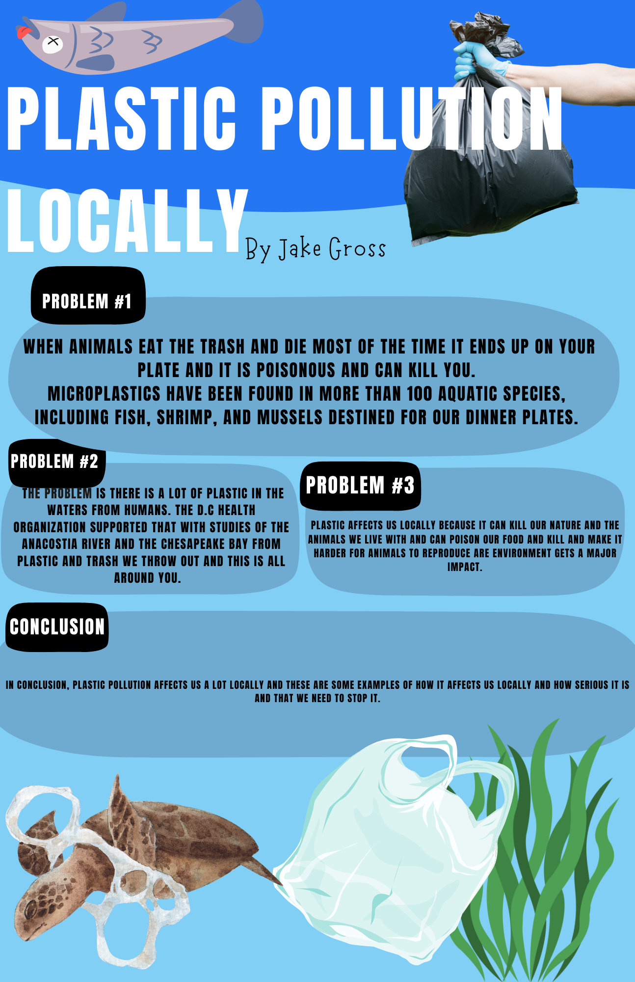 Jake Infographic Three